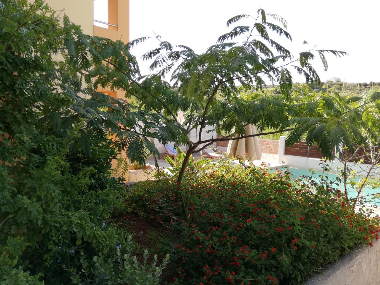 Cyan Icons Villas Kalyves Chania Kültér fotó